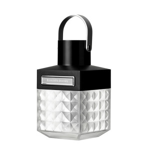 Lumière de secours rechargeable de lumière de camping portative extérieure de LED (noir) SH201A219-20