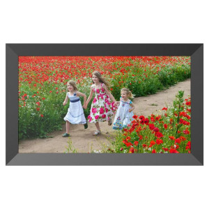 Album photo DPF1560 avec écran LED HD de 15,6 pouces, WIFI, Cloud, RK3326C Quad Core, 1 Go + 32 Go, prise : (noir) SH403A659-20