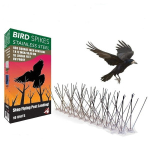 5 PCS / Set Bird Repeller 50cm Clous en acier inoxydable Clous d'oiseaux SK411 SH28801383-20
