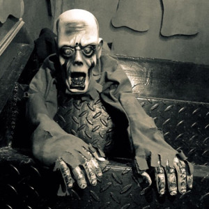 Collection d'Halloween Essentials Skull Collection: tête de mort fantôme zombie SH63541825-20