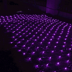 3m (Longueur) x 2m (Hauteur) 12W 200 LEDs Reticular String Devoration Lights avec contrôleur d'extrémité et multifonctions, prise EU, AC 220V (violet) S35APL1959-20