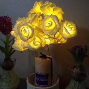 3m forme de rose prise USB romantique LED chaîne vacances lumière, lampe décorative fée de style adolescente 20 LED pour Noël, mariage, chambre à coucher (blanc chaud) SH29WW301-20