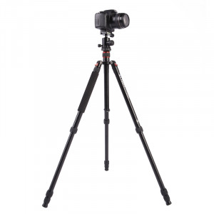 Trépied en aluminium portable réglable Triopo MT-2504C avec rotule NB-1S pour appareil photo Canon Nikon Sony DSLR (Noir) ST410A1499-20