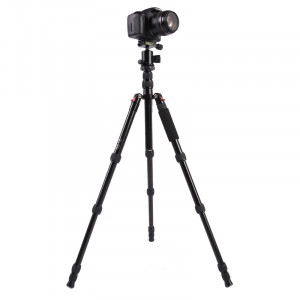 Trépied en aluminium portable réglable Triopo MT-2505C avec rotule NB-1S pour appareil photo Canon Nikon Sony DSLR (Noir) ST411A686-20