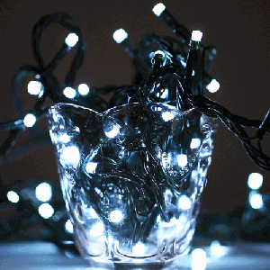 10m imperméable à l'eau 100 LED lumières décoratives de chaîne avec le joint d'extrémité et le contrôleur, clignotant / effet de fading / Chasing, prise de l'UE, CA 220V (lumière blanche) S14AWL1767-20