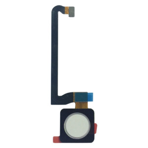 Câble flexible du capteur d'empreintes digitales pour Google Pixel 3 (blanc) SH791W259-20