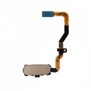 iPartsAcheter pour Samsung Galaxy S7 / G930 Fonction clé Accueil Flex câble (Gold) SI010J298-20