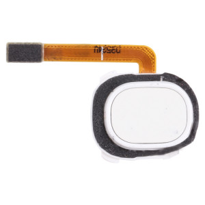 Câble de capteur d'empreintes d'empreintes digitales pour Samsung Galaxy A20E / A20 (Blanc) SH931W690-20