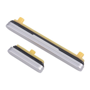Bouton d'alimentation et bouton de contrôle du volume d'origine pour Samsung Galaxy Tab S10+ SM-X820/X826 (argent) SH307S1904-20