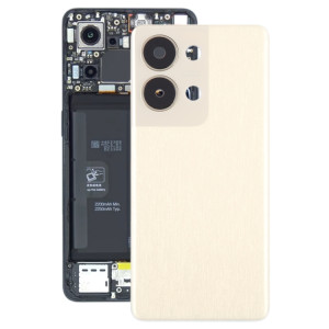 Pour OPPO Reno9 Pro couvercle arrière de batterie d'origine avec couvercle d'objectif d'appareil photo SH78JL1106-20