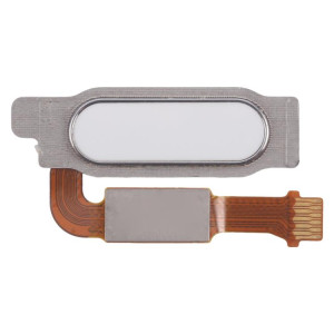 Câble flexible pour capteur d'empreintes digitales Honor Waterplay 8 pouces HDL-W09/AL09 (blanc) SH420W1990-20