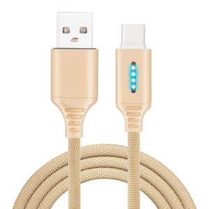 Interface USB-C / TYPE-C Alliage de zinc Marquee Luminous Intelligent Automatic Date de chargement Données de charge (Gold) SH701C1850-20