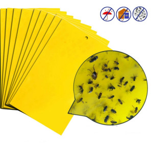 10 paquets Double face Stick Insect Board Conseil jaune Melon Fruit Fly Trap Board SH25001110-20
