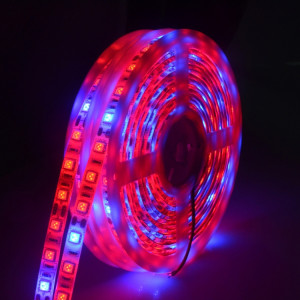 5m 300 LEDs SMD 5050 spectre complet bande de lumière LED Fitolampy élèvent des lumières pour serre plante hydroponique imperméable à l'eau (5 rouge 1 bleu) SH602C1081-20