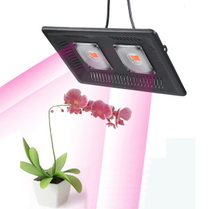 Lumière de plante LED ultra-mince 100W, lumière de croissance COB à spectre complet, lumière de remplissage de serre de légumes, de fruits et de fleurs sans prise SH55021712-20