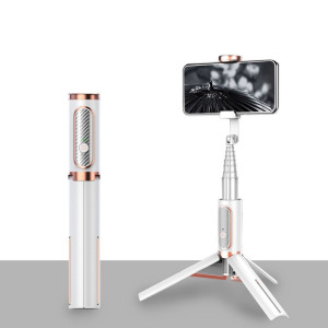 Bluetooth Selfie Stick avec Trépied Multi-Fonctions TÉLÉPHONE MOBILE DE TÉLÉPHONE MOBILE DE REMPLIR LIGHT LIGHT LIGHT (GOLD) SH001D1297-20