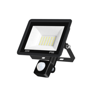 30W PIR LED Spotirlight PROJET DE PROJET DE PLUMAGE ÉMERAUX ÉMERAUX ÉNERGAUMENT D'ÉNERGAU ÉNANELLEMENTAIRE, Style: (lumière blanche froide) SH608A380-20