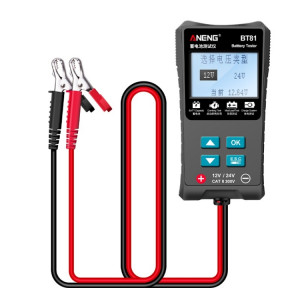 Détecteur de capacité de résistance interne de la batterie ANENG BT81 12V / 24V SA9898183-20