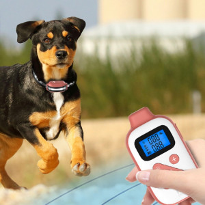 PaiPaitek PD523 Dresseur de chien étanche rechargeable à distance de 1000 m SP9306922-20