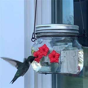 Mangeoire à oiseaux suspendue Pot de mangeoire pour colibris en plein air SH07011406-20