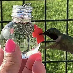 Mangeoire à oiseaux suspendue Ampoule extérieure pour mangeoire à colibris SH07021034-20