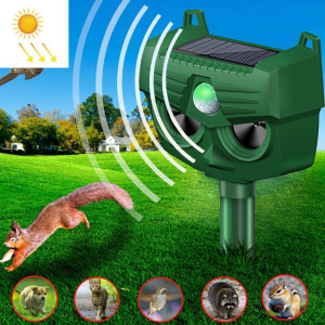 RC-543 Répulsif solaire extérieur pour chien Répulsif à ultrasons infrarouge pour oiseaux SH05851205-20