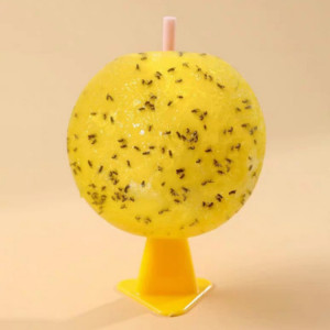 Boule collante anti-mouches à fruits d'intérieur de 8 cm avec noyau attractif pour insectes SH94511527-20