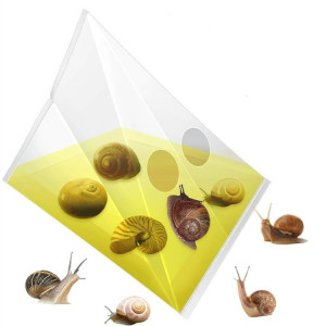 Sac piège à limaces d'escargot, 20 pièces/paquet, piège à légumes de jardin, sac en plastique Transparent SH01121671-20