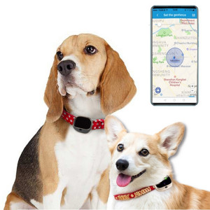 RF-V43 IP67 étanche GPS + LBS + WiFi Pet Locator Pet Collar Tracking Device (Noir) SH441B654-20