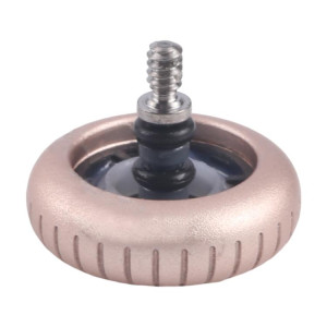 Écrou de couronne de rechange pour Apple Watch Series 10 42 mm/46 mm (doré) SH274J1486-20