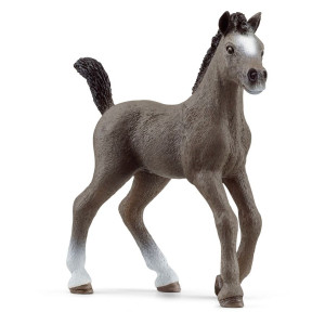 Schleich Club hippique 13957 Poulain Selle Français 792808-20