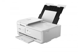 Canon PIXMA TS 9551Ca 891018-20