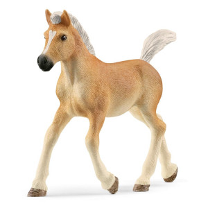 Schleich Club hippique Poulain Haflinger 13951 792647-20
