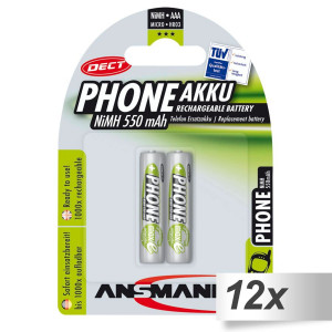 12x2 Ansmann maxE NiMH piles Micro AAA 550 mAh DECT PHONE 502434-20