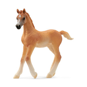 Schleich Club hippique 13984 Poulain arabe 857600-20