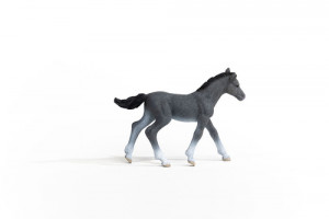 Schleich Club hippique 13944 Poulain Trakehner 696999-20
