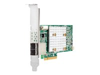 Hewlett Packard Enterprise Smart Array E208e-p SR Gen10 Ctrlr XP2253948R4693-20