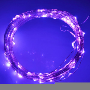 10m 5V USB Powered 6W 500LM SMD-0603 LED Silver String Light Festival Lampe / Décoration Light Strip, Purple Light S1000P6-20