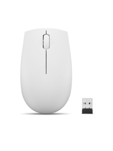 Lenovo 300 gris souris sans fil 860617-20