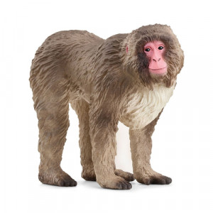 Schleich Animaux sauvages 14871 Macaque japonais 857635-20