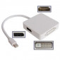 Mini DisplayPort vers DVI, DisplayPort, port HDMI pour Apple (blanc)