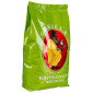 Joerges Gorilla Kaffeehaus 1 Kg de grains de café