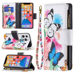 Dessin de couleur Cadre à glissière Horizontal Horizontal Toam Coating avec porte-carte et portefeuille pour iPhone 13 Pro (deux papillons)