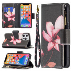 Dessin coloré Cadrage à glissière à glissière Horizontal Flip Cuir Toot avec porte-carte Slots & Portefeuille pour iPhone 13 Pro (Lotus)