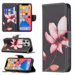 Motif de dessin coloré Horizontal Flip Cuir Toot avec porte-carte et portefeuille pour iPhone 13 Pro (Lotus)