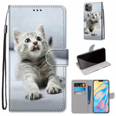 Dessin coloré Texture Texture horizontale Étui en cuir PU avec support & carte Slots & Portefeuille et longe pour iPhone 13 Pro (petit chat gris)