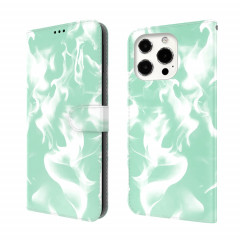 Cas de cuir horizontal de motif de brouillard avec support et portefeuille pour iPhone 13 Pro (Mint Green)