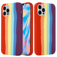 Silicone liquide arc-en-ciel PHOTO Couverture complète Cas de protection pour iPhone 13 (rouge)