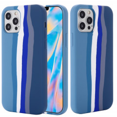 Cas de protection en silicone liquide arc-en-ciel de protection antichoc pour iPhone 13 Pro (Bleu)