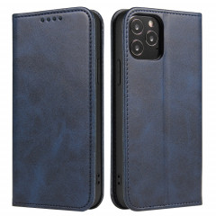 Texture mollet Horizontal Horizontal Horizontal Boîtier avec porte-cartes et portefeuille pour iPhone 13 Pro Max (Bleu)